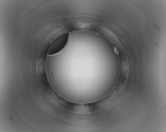 X0000113960421200910091633