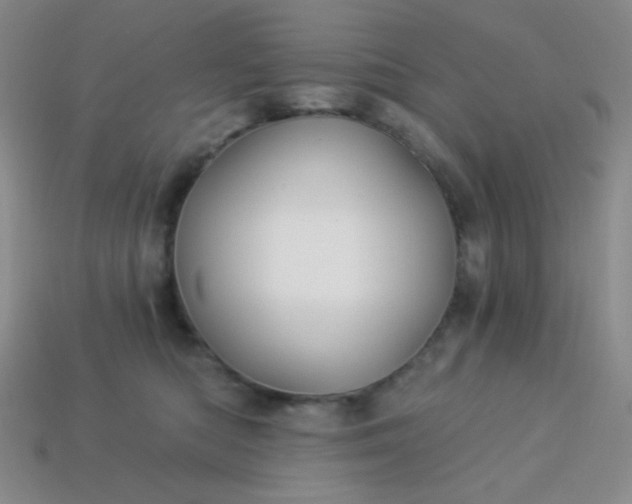 X0000113960422200910091633