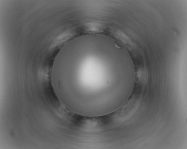 X0000113960423200910091633