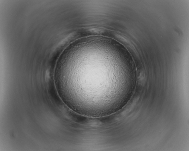 X0000113960424200910091633