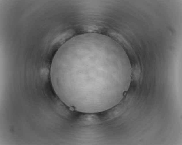 X0000113960427200910091633