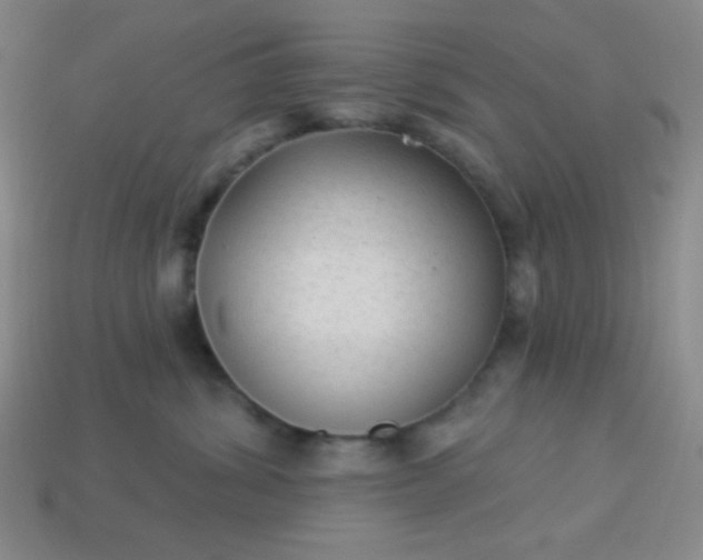 X0000113960428200910091633