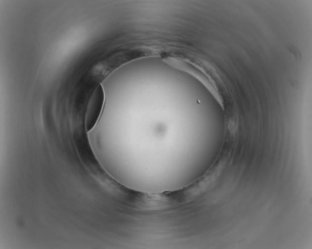 X0000113960429200910091633