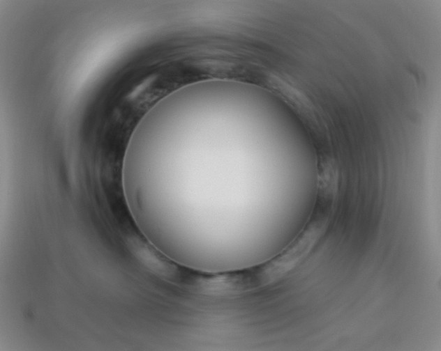 X0000113960430200910091633