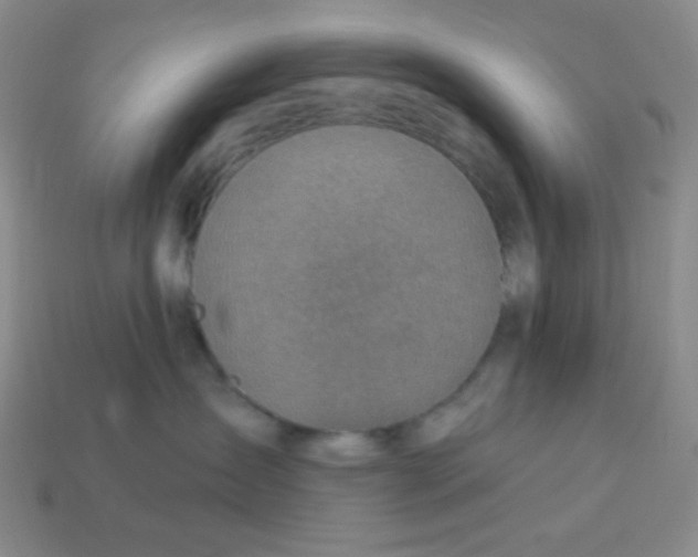 X0000113960431200910091633