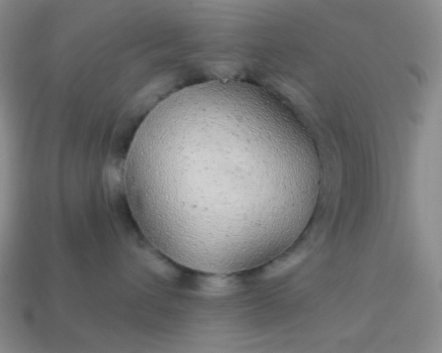 X0000113960432200910091633