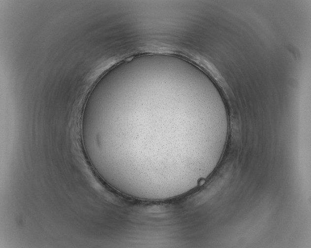 X0000113960433200910091632