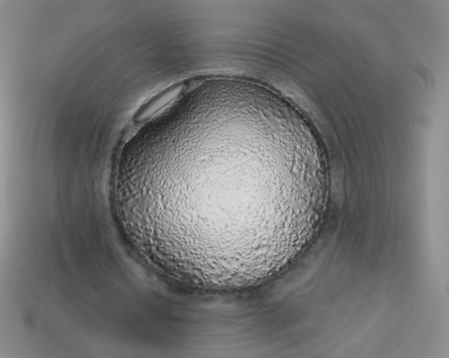 X0000113960434200910091632