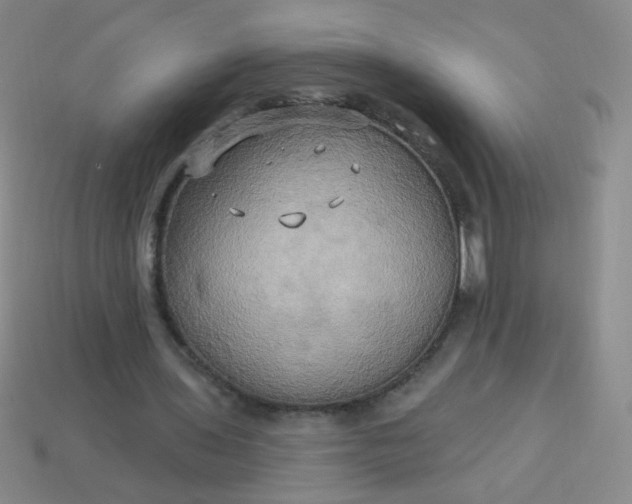 X0000113960435200910091632