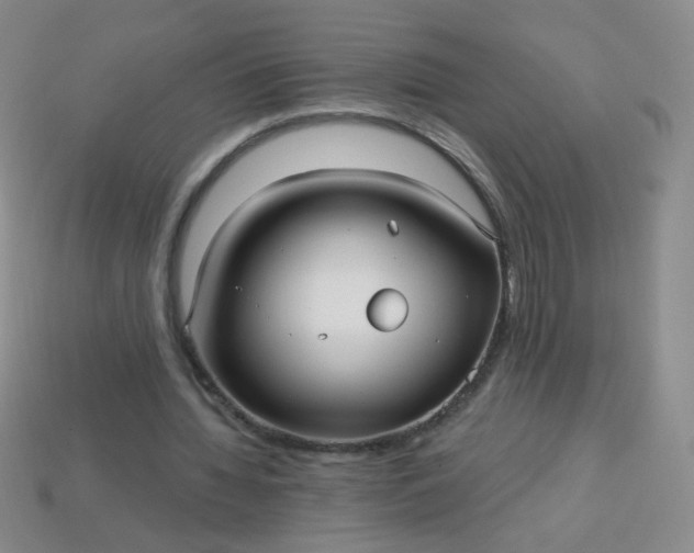 X0000113960436200910091632