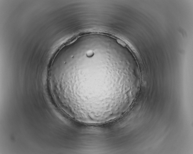 X0000113960437200910091632