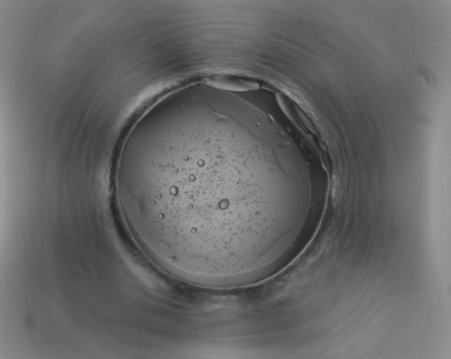 X0000113960438200910091632