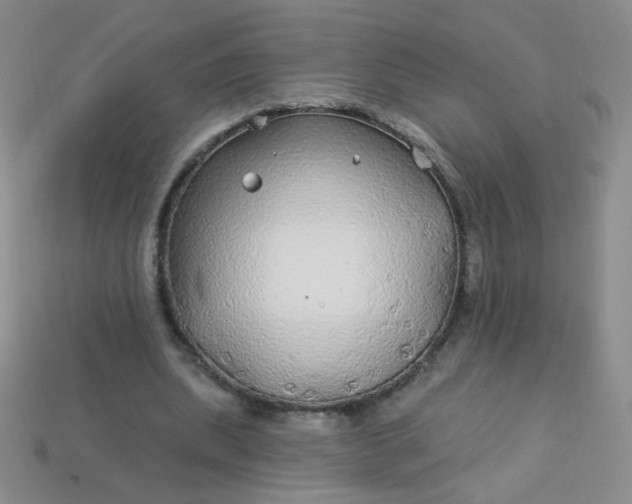 X0000113960439200910091632