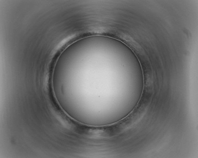 X0000113960440200910091632