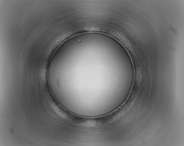 X0000113960441200910091632