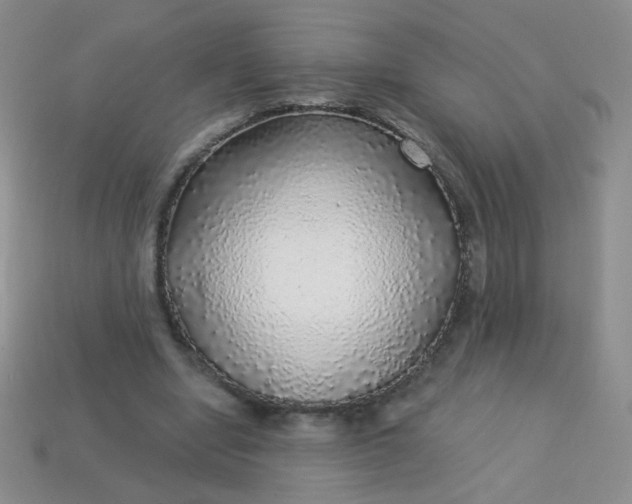 X0000113960442200910091632