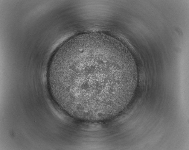 X0000113960443200910091632