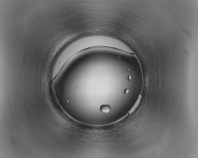 X0000113960444200910091632