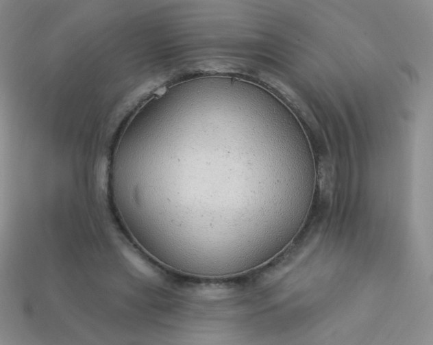 X0000113960445200910091632