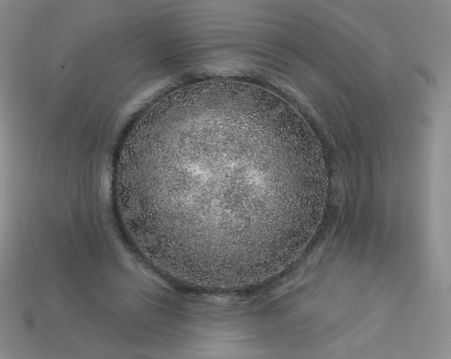 X0000113960446200910091632