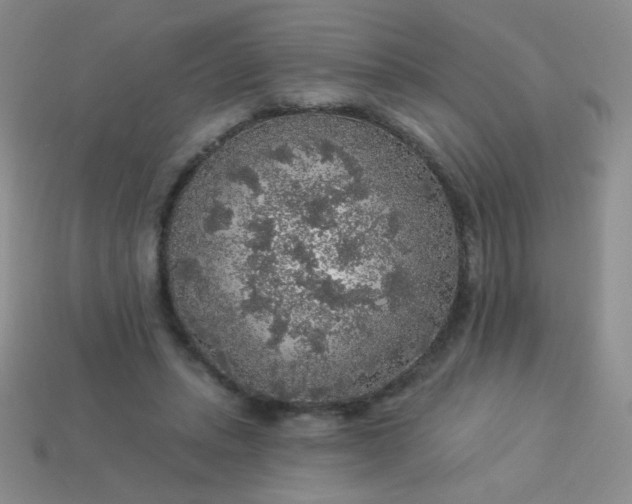 X0000113960447200910091632