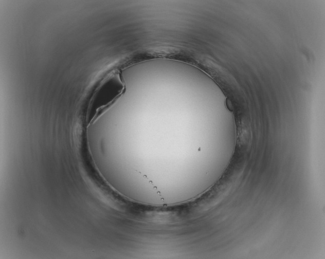 X0000113960448200910091632