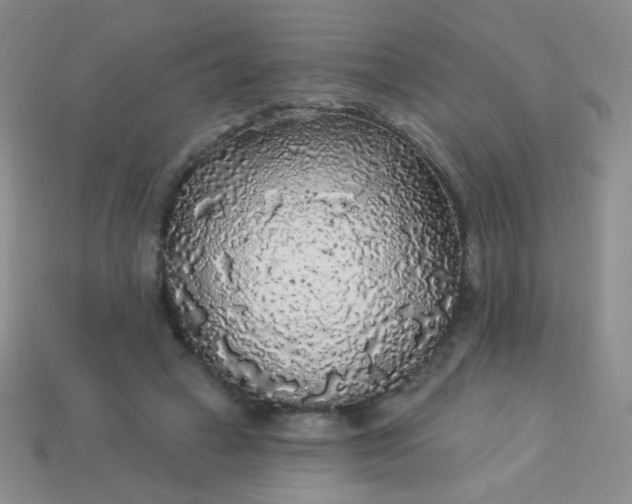 X0000113960449200910091632