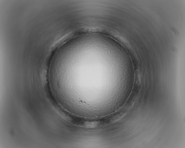 X0000113960450200910091632