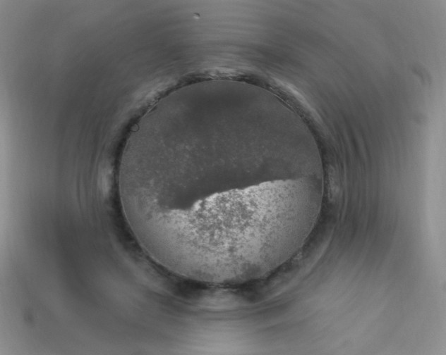 X0000113960451200910091632