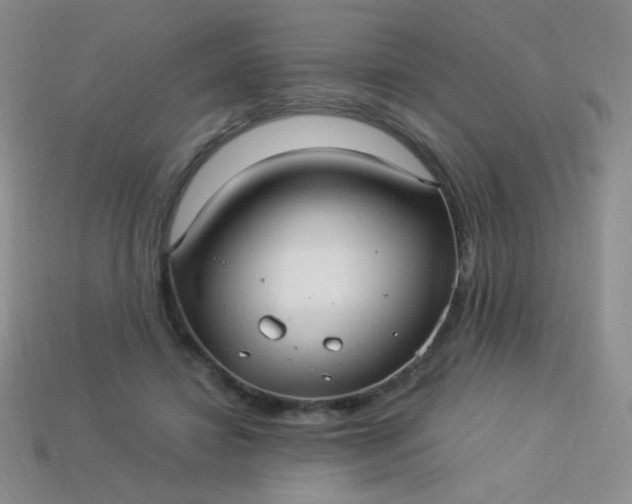 X0000113960452200910091632