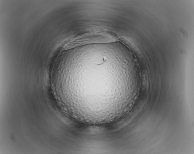 X0000113960453200910091632