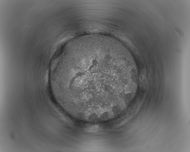 X0000113960454200910091632