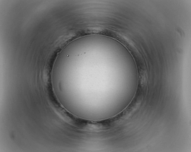 X0000113960455200910091632