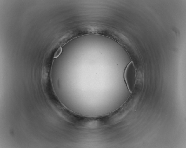 X0000113960456200910091633