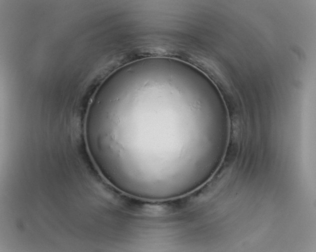 X0000113960457200910091633