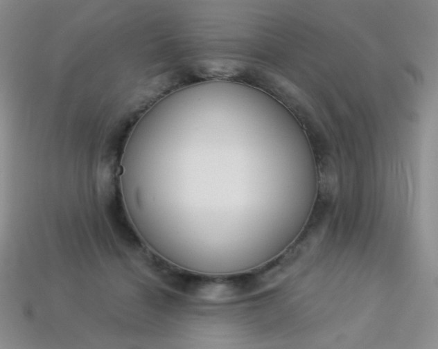 X0000113960460200910091633