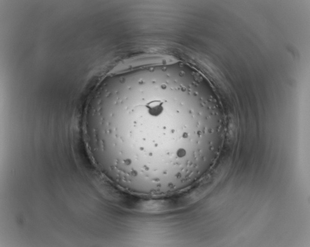 X0000113960461200910091633