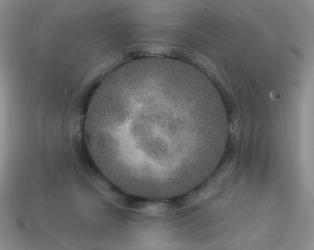 X0000113960462200910091633