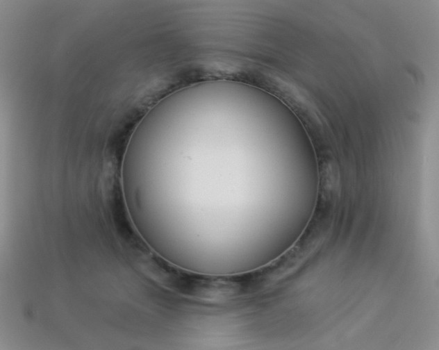 X0000113960463200910091633