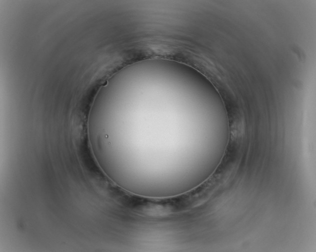 X0000113960464200910091633