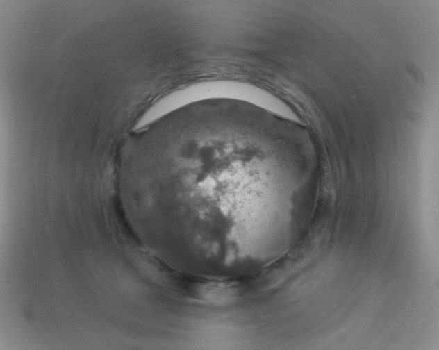 X0000113960465200910091633