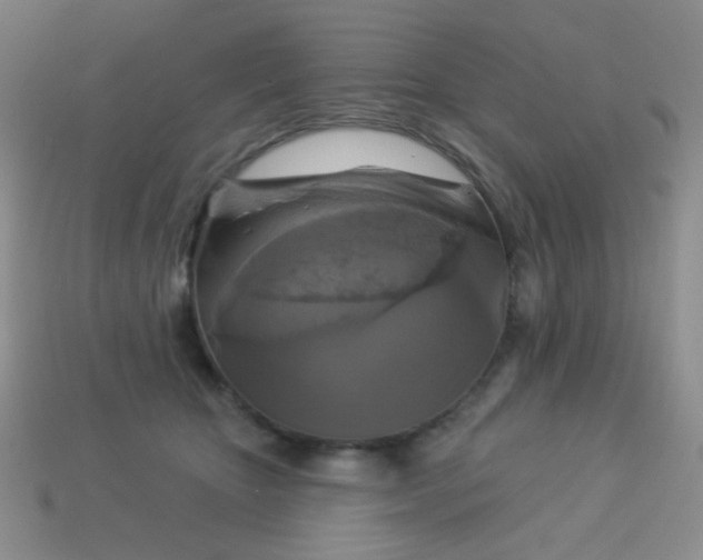 X0000113960467200910091633