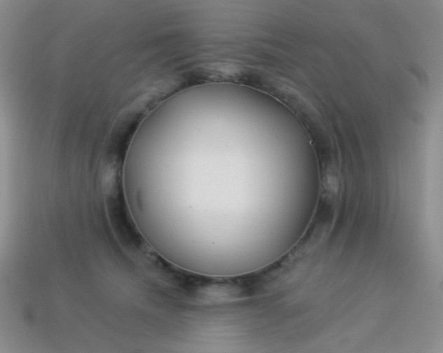 X0000113960468200910091633