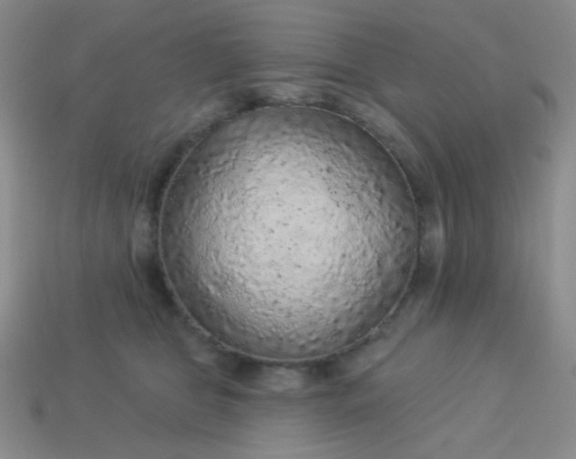 X0000113960469200910091633