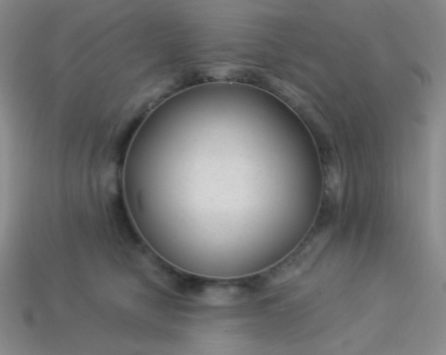 X0000113960470200910091633