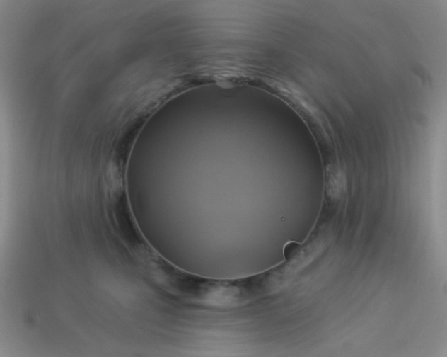 X0000113960471200910091633