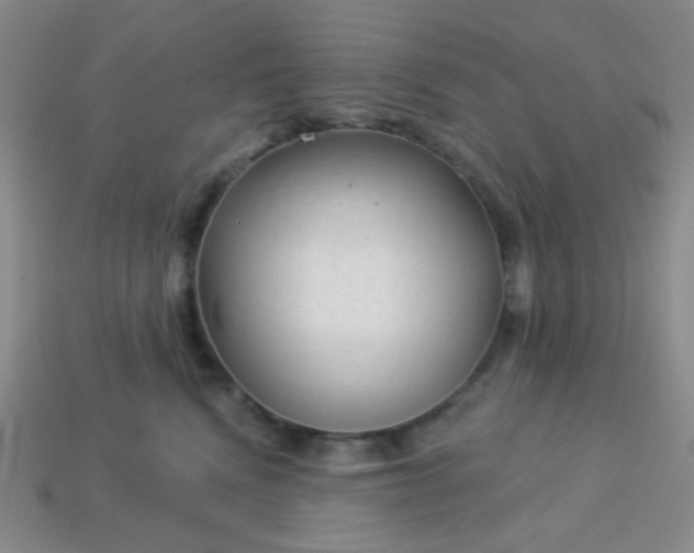 X0000113960472200910091633