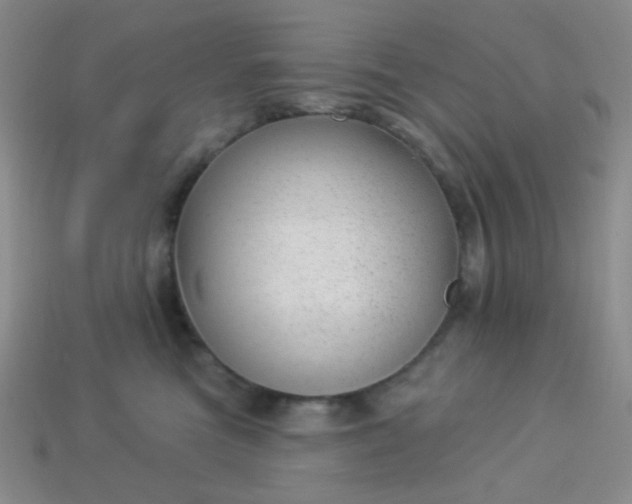 X0000113960473200910091633