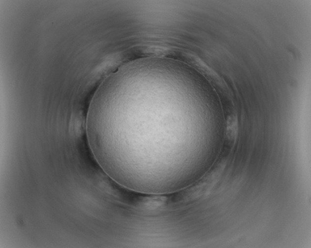 X0000113960474200910091633