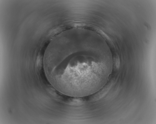 X0000113960475200910091633